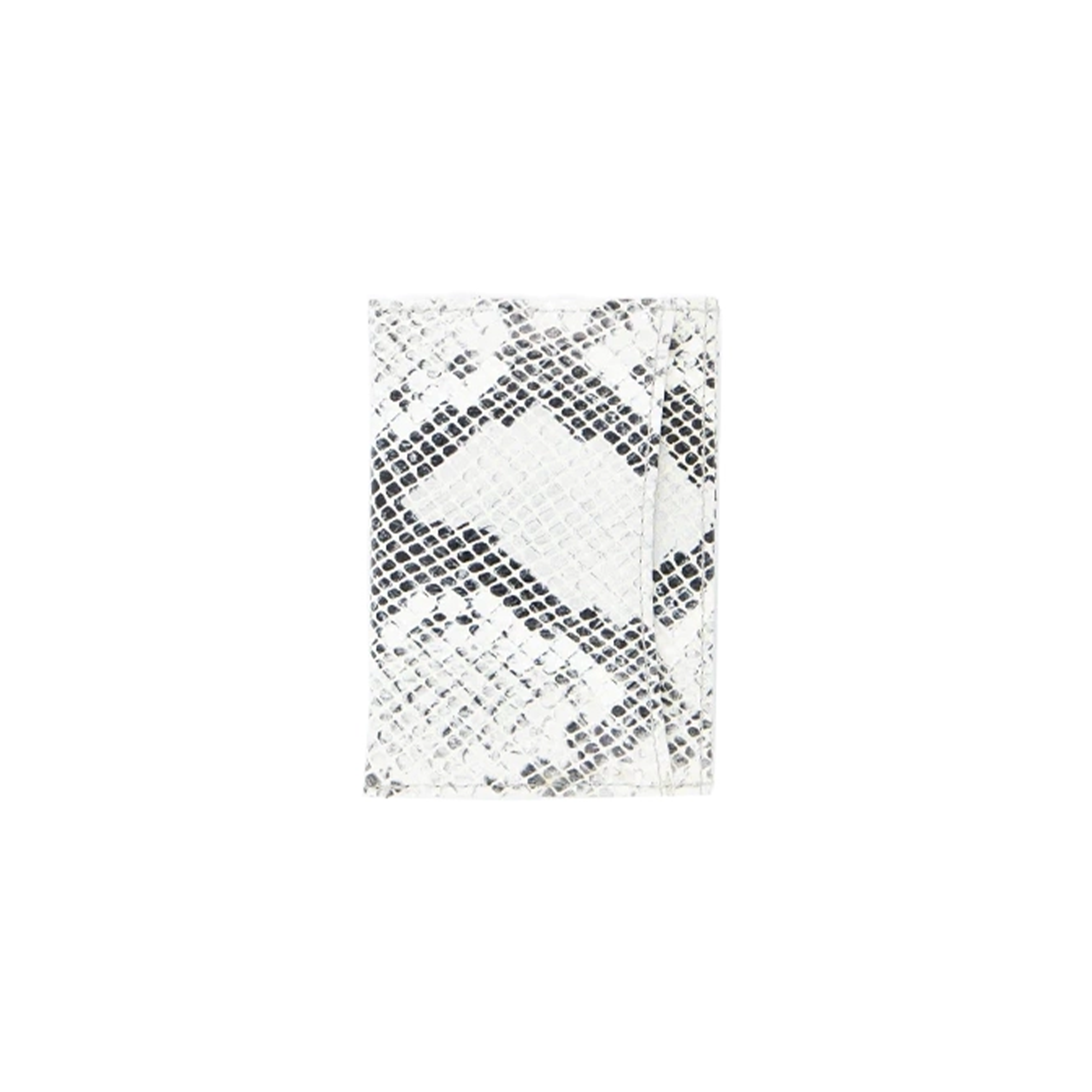 ليديا سنيك بالأبيض والأسود