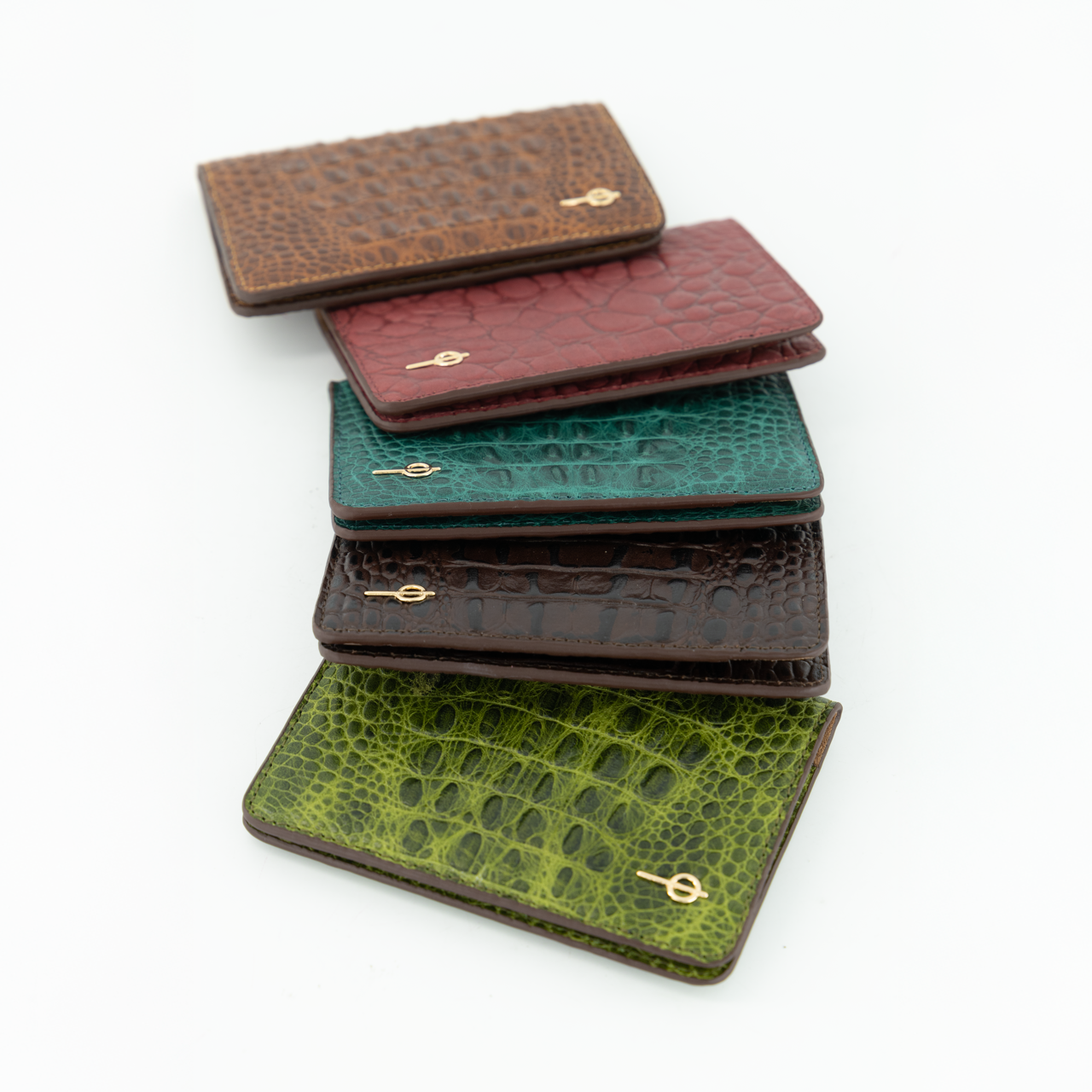 Passport Case Brown