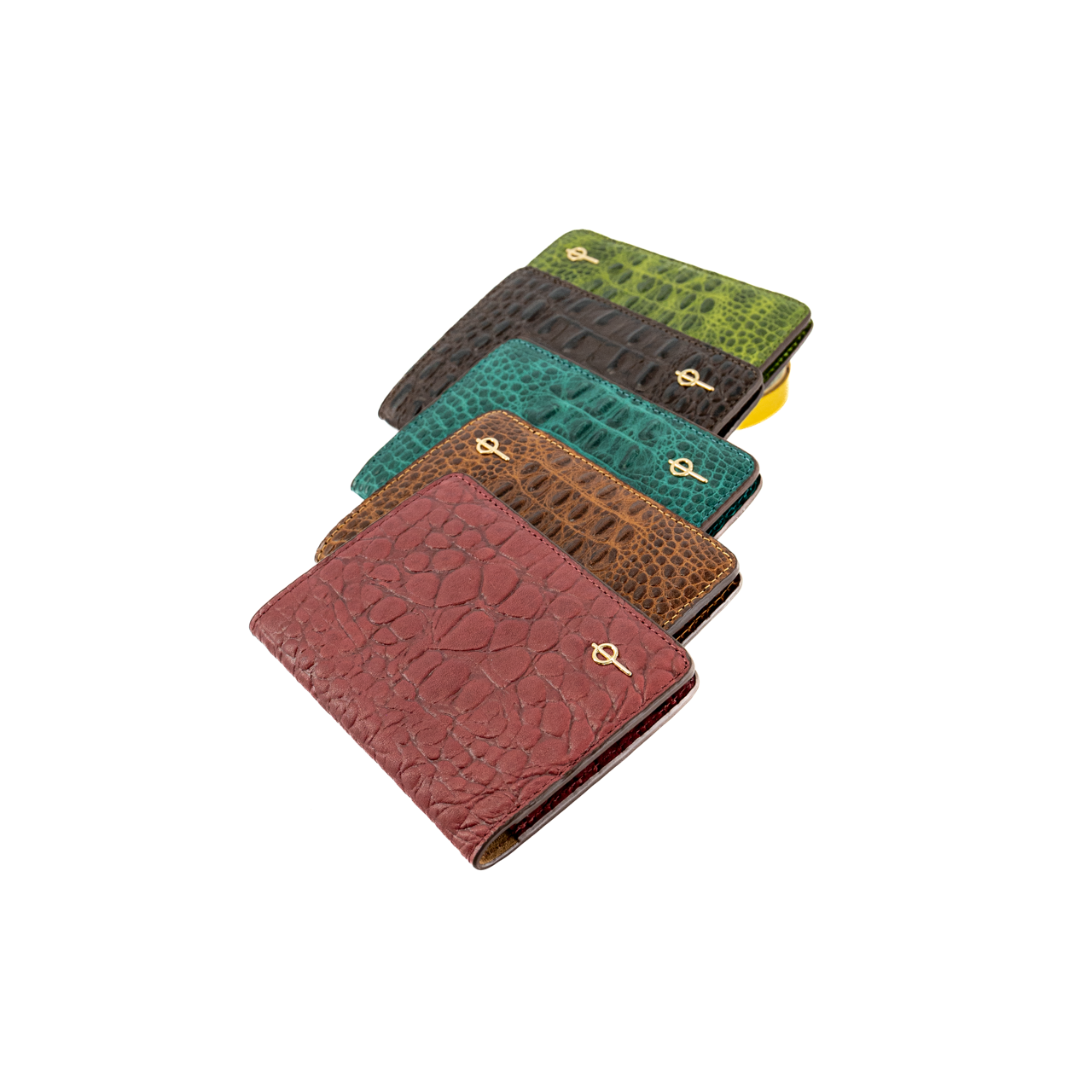 Passport Case Dark Brown