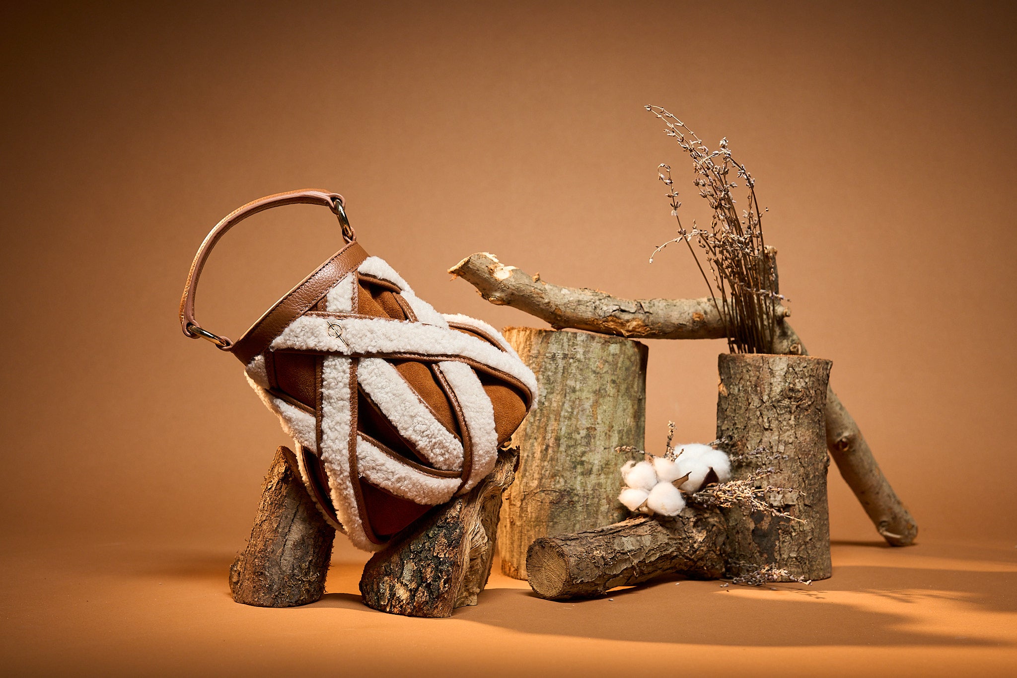 أولينا رقيق تان